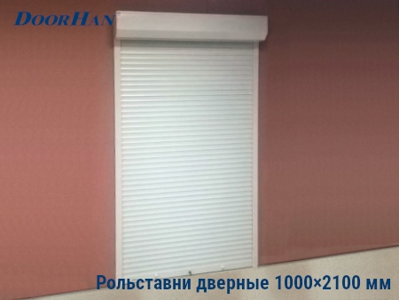 Рольставни на двери 1000×2100 мм в Ижевске от 32764 руб.