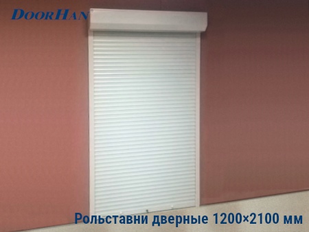 Рольставни на двери 1200×2100 мм в Ижевске от 36090 руб.