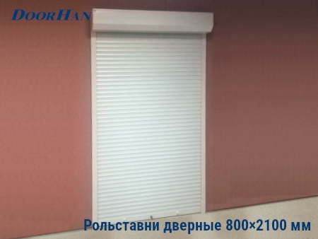 Рольставни на двери 800×2100 мм в Ижевске от 29437 руб.